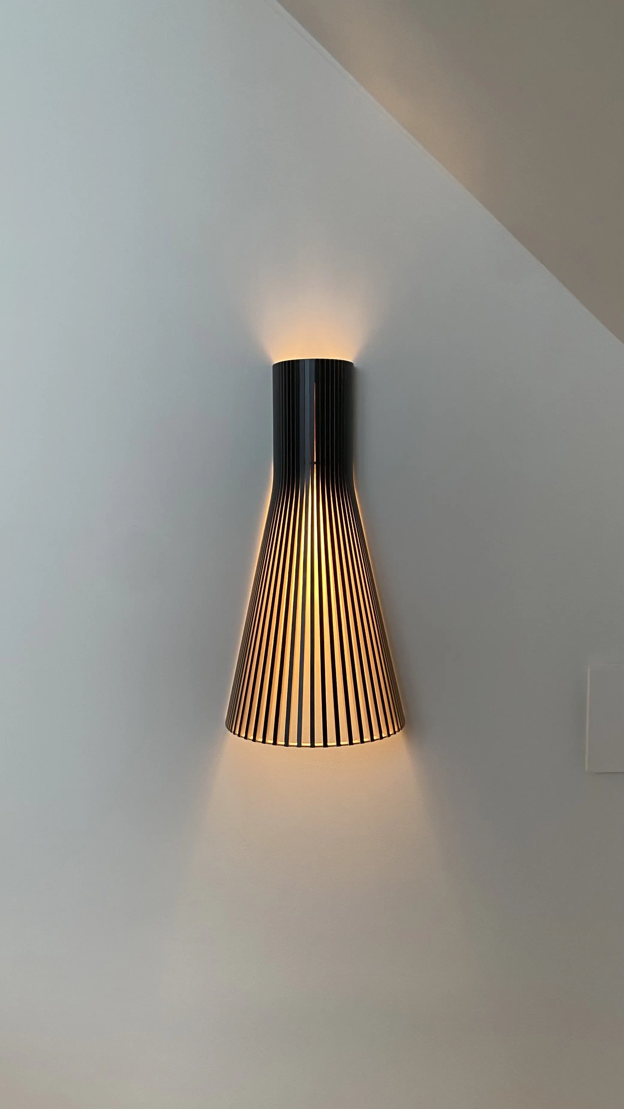 Détails & Matières